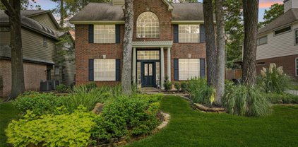 25 Treescape Circle, The Woodlands
