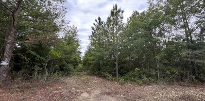 1421 Tower Road, Ludowici