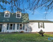 1267 County Road 479, Albertville image