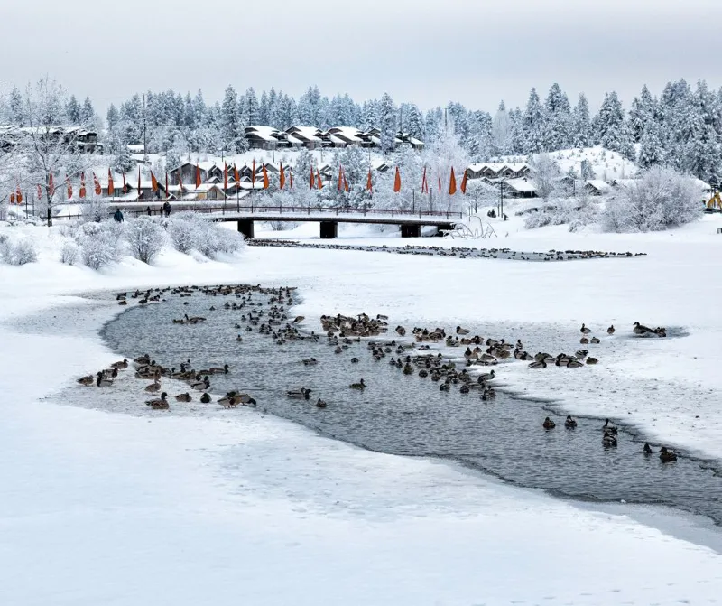 Bend Homes For Sale