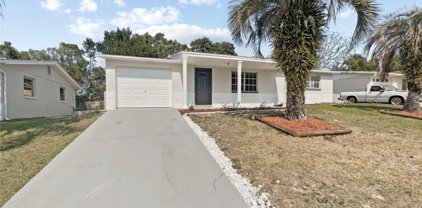 5041 Farley Drive, Holiday
