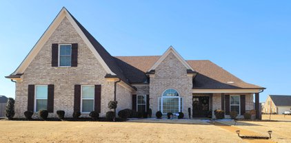 4649 S Balterson Loop, Olive Branch
