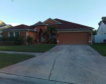 10926 Arbor Ridge Drive, Tampa