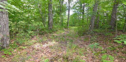 Montoe Road, Waterbury