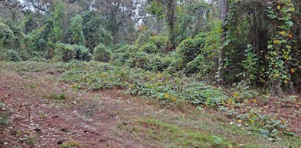 1.1 Acres Hwy 612, Lucedale