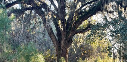 500 Old Savannah Road, Hinesville