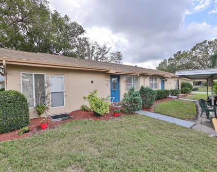 409 Feltham Trail Unit A, Sun City Center