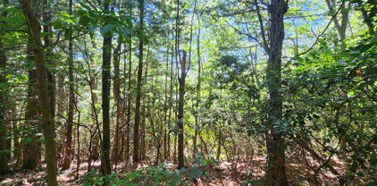 Masons Knob  Rd, Boones Mill