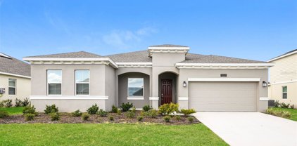 5221 Red Coral Circle, Mount Dora