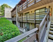 1081 Cove Rd, APT 613, Sevierville image