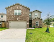 25481 Black Spruce Drive, Cleveland image
