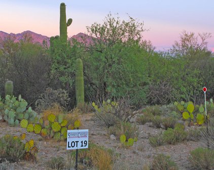 11960 N Vista Del Sol Unit #19, Oro Valley