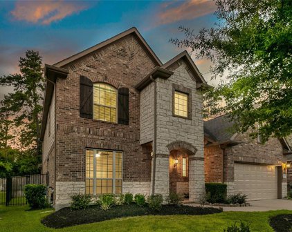 118 Hearthshire Circle, The Woodlands