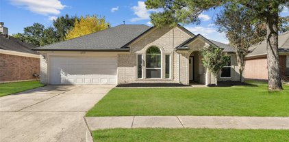 11719 Lennington Lane, Houston