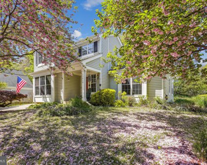 13410 Running Pump Ct, Herndon