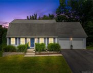 25 Mallard Drive, Glastonbury image