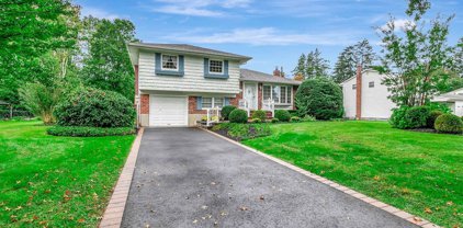 20 Pawnee Drive, Commack
