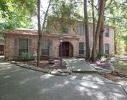 11816 S Red Cedar Circle, The Woodlands image