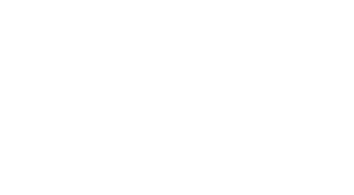 Aloha Global Homes