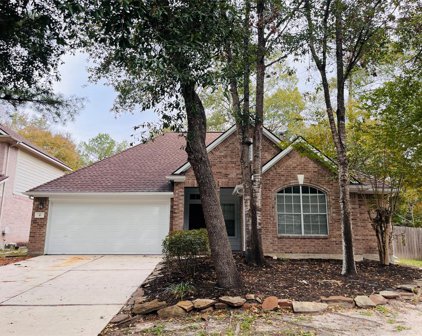 10 Florian Court, Conroe