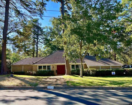 3317 Pollard Dr, Tyler
