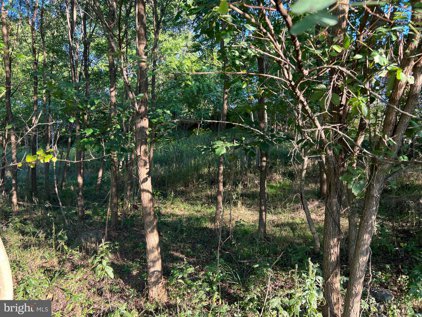 LOT 13 Rural Hill Ln, Martinsburg
