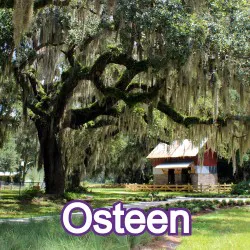 Osteen Florida Homes for Sale