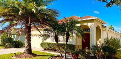 4106 Langdrum Drive, Wesley Chapel