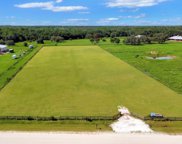 39605 Taylor Road, Myakka City image