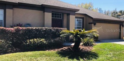 20934 Orchardtown Drive, Land O' Lakes