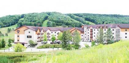 6447 Holiday Valley Road 406/408-4 Tamarack, Ellicottville-043689
