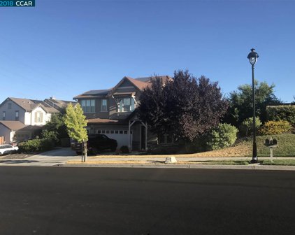 2894 Spanish Bay Dr, Brentwood