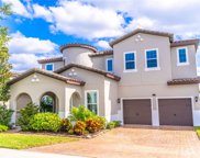 1657 Amsel Falls Park Terrace, Winter Garden image