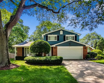 206 E Hackberry Drive, Arlington Heights
