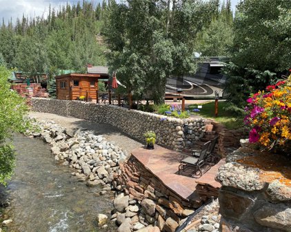 85 Revett #221  Drive, Breckenridge