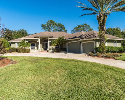 17727 Lake Key Drive, Odessa