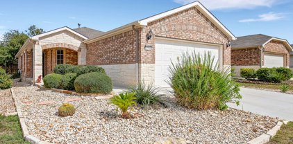 12911 Sand Holly, San Antonio