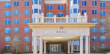 8002 Brynmor   Court Unit #501, Baltimore