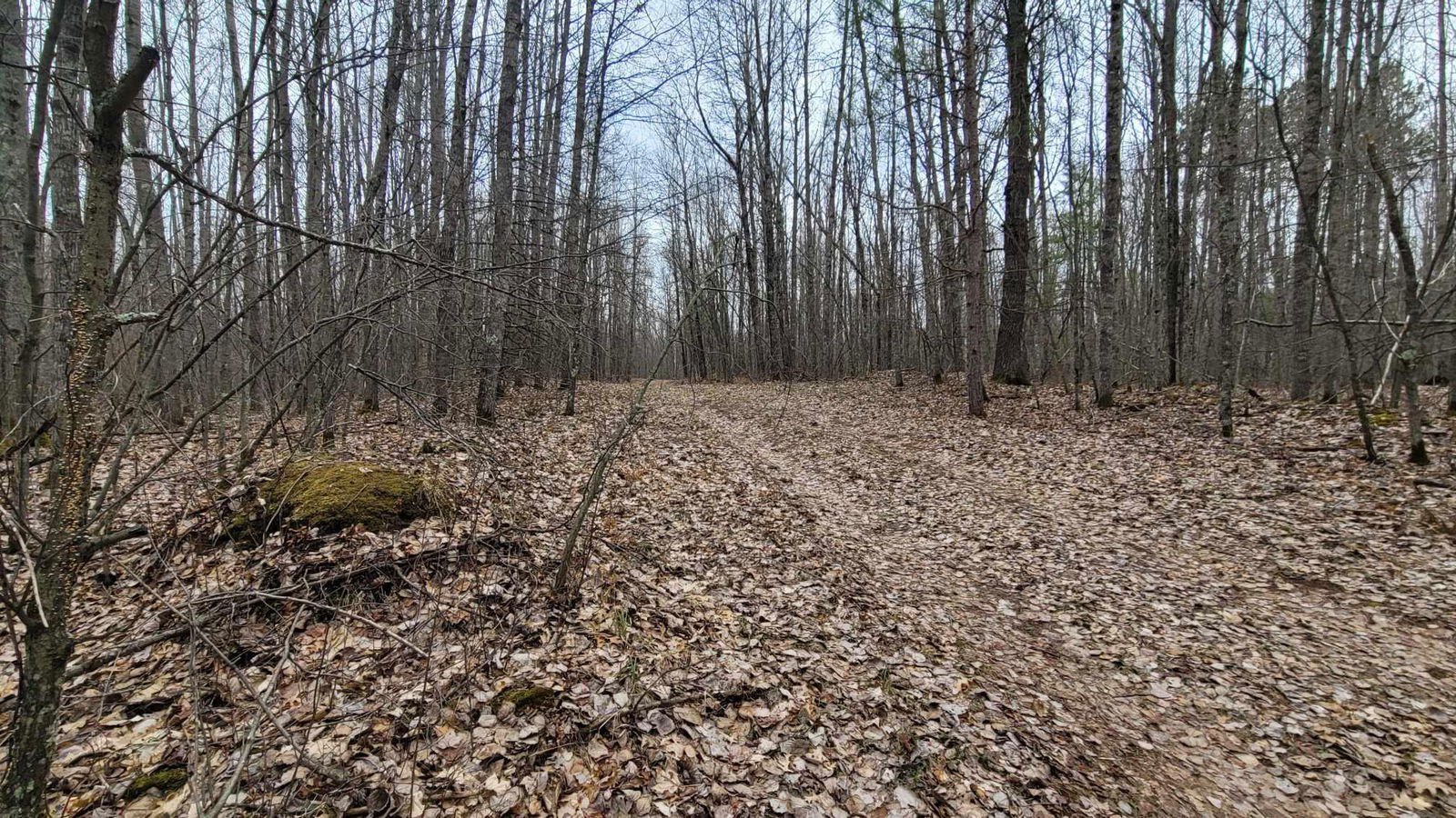 W11985 JONES Road, Athelstane, WI 54104, 54104