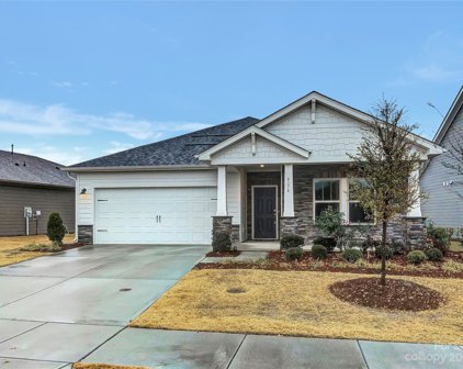 4174 Canopy Creek  Drive, Denver