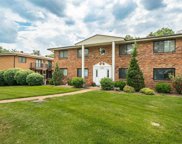 7840 Sunray  Lane Unit #2, St Louis image