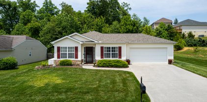 6405 Airtree Lane, Knoxville