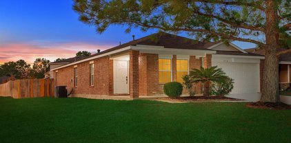 1018 Stillgate Court, Spring