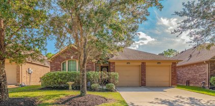 13416 Moonlit Lake Lane, Pearland