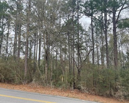 Maree, Citronelle
