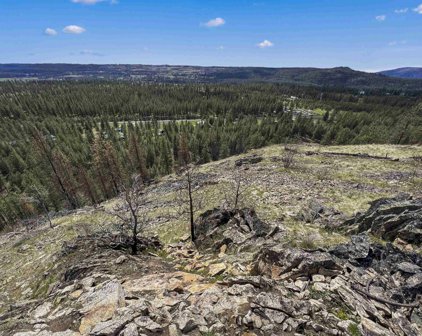 000 Pine Ridge Way, Nine Mile Falls