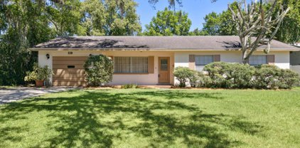 119 Siobhan Avenue, Tampa