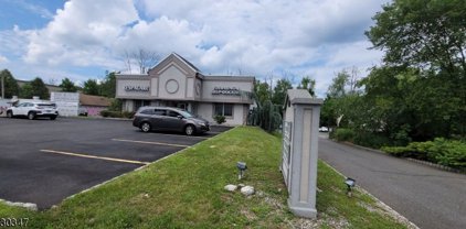 489 Union Ave, Bridgewater Twp.