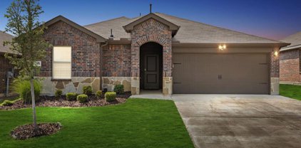4114 Dunes  Drive, Forney