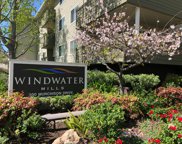 300 Murchison DR 119, Millbrae image